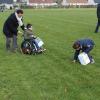 Chasse a l'oeuf (1)