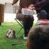 Sortie Ave Maria (25)