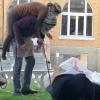 Sortie Ave Maria (30)